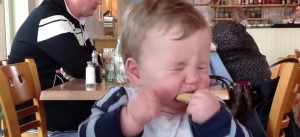 babies-eating-lemons